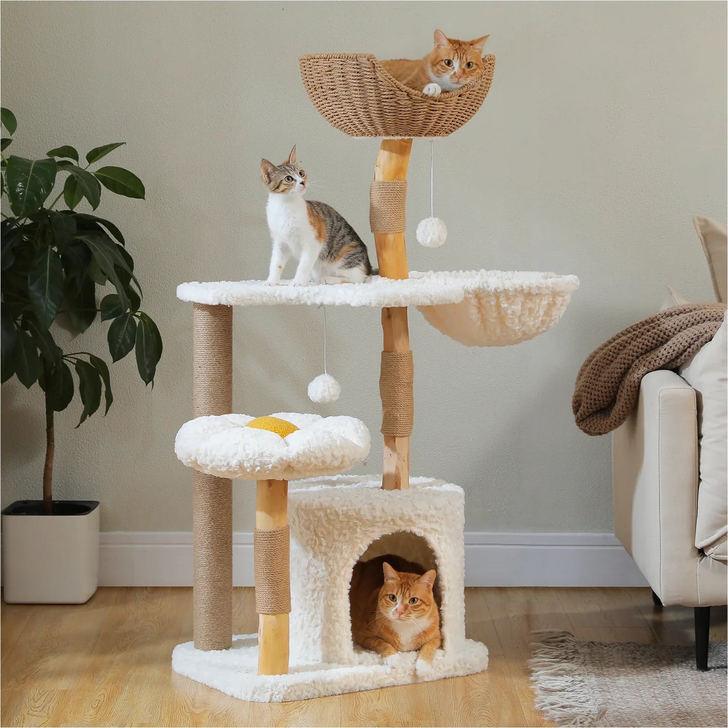 Cat Tree's