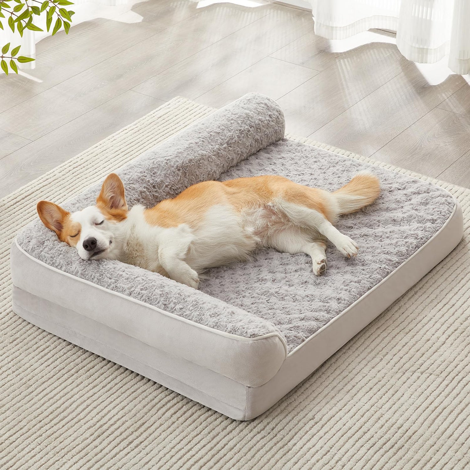 Pet Beds